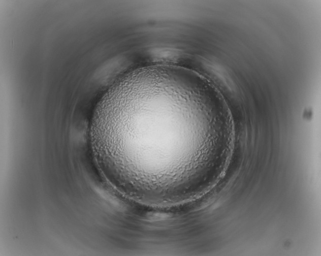 X0000091940649200709051524