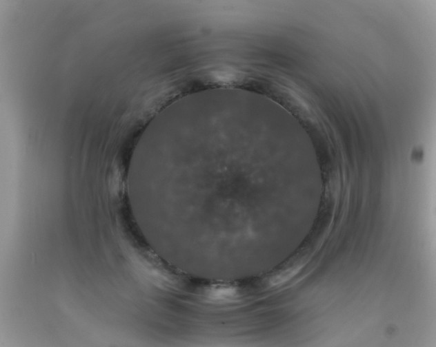 X0000091940651200709051524