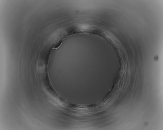 X0000091940653200709051524