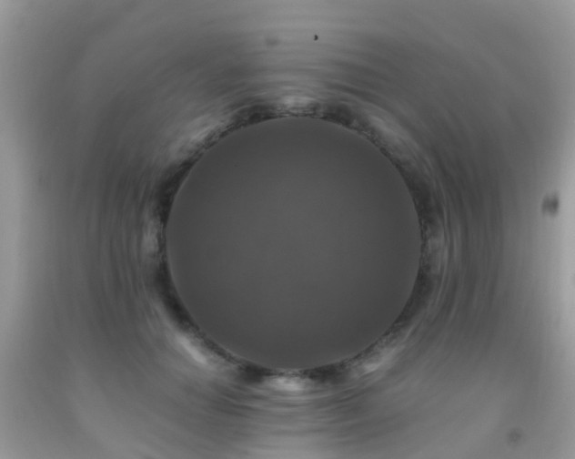 X0000091940654200709051524