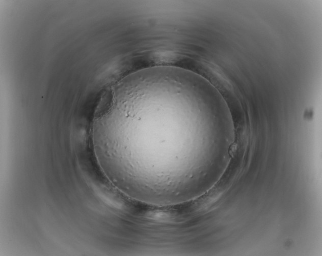 X0000091940655200709051524