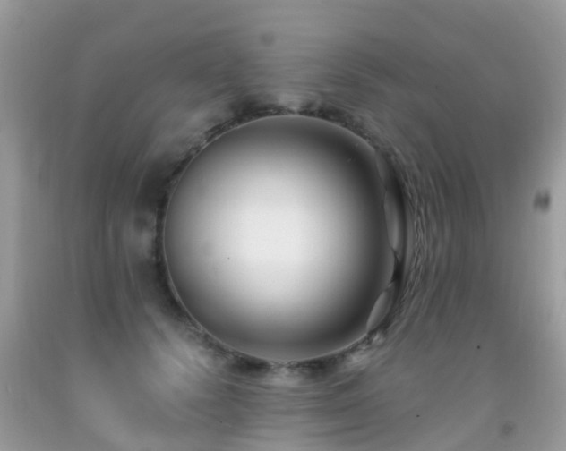 X0000091940656200709051524