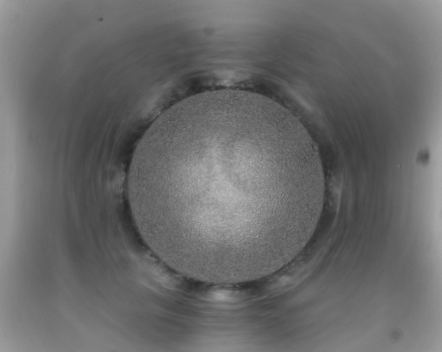 X0000091940657200709051524