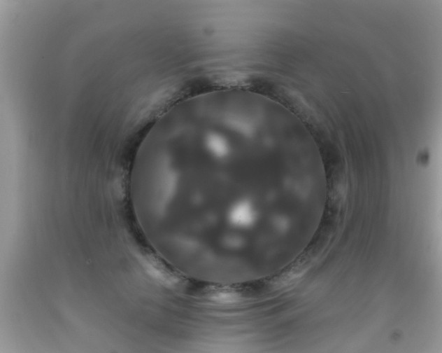 X0000091940658200709051524