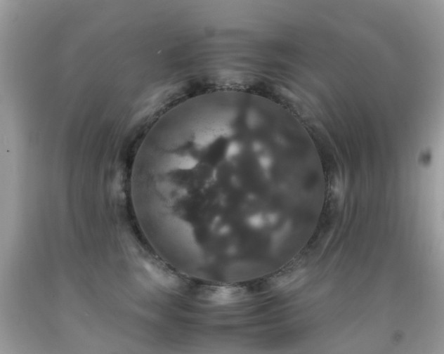 X0000091940663200709051524