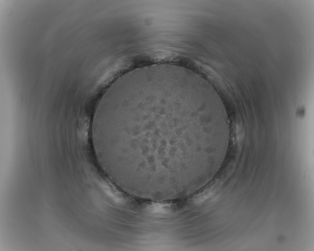 X0000091940664200709051524