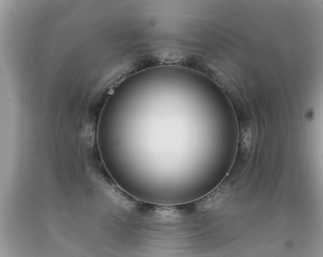 X0000091940666200709051524