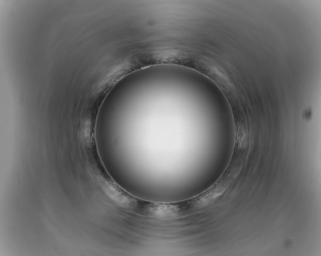 X0000091940670200709051524