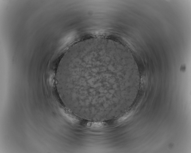 X0000091940671200709051524