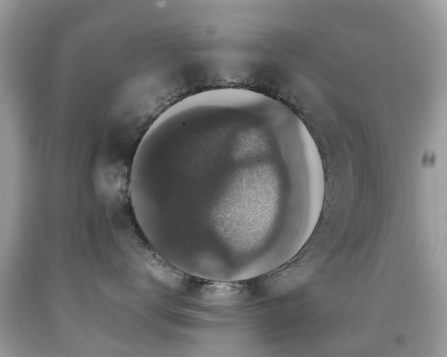 X0000091940672200709051524