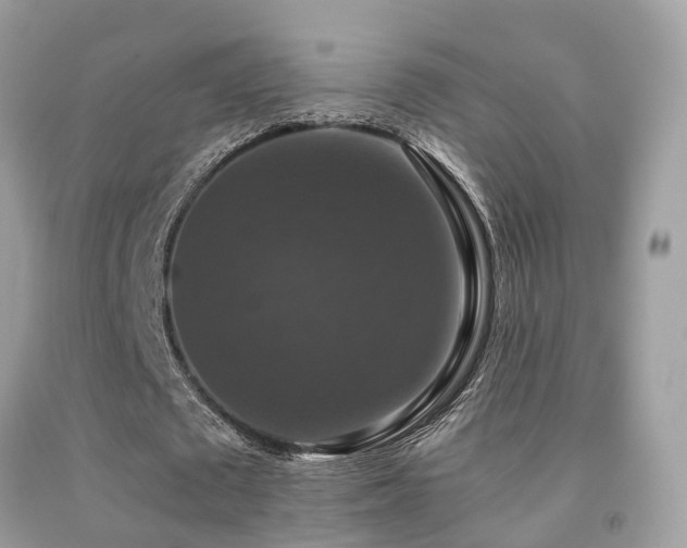 X0000091940673200709051523