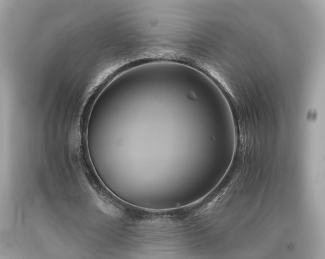 X0000091940674200709051523