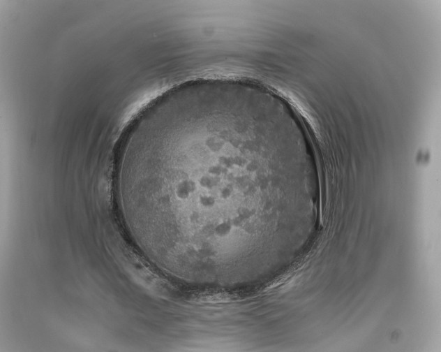 X0000091940675200709051523