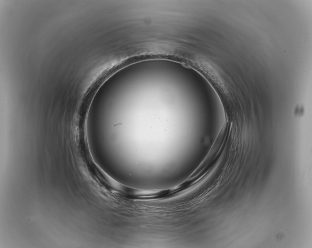 X0000091940676200709051523