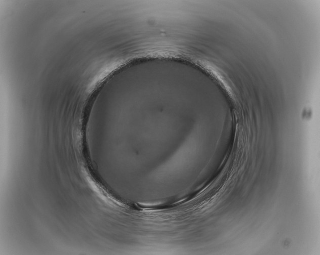 X0000091940677200709051523