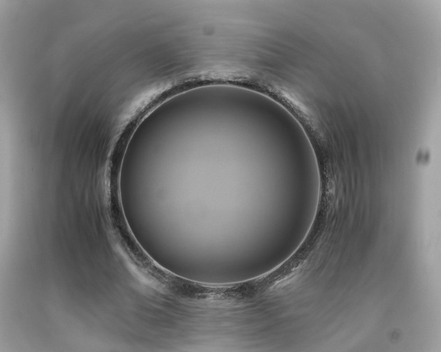 X0000091940678200709051523