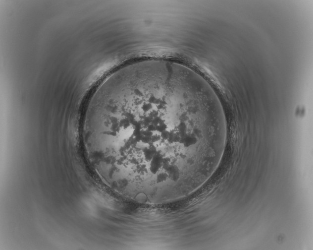 X0000091940679200709051523