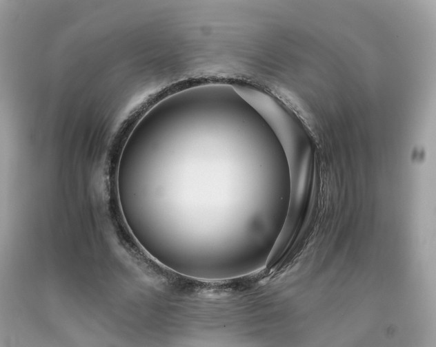 X0000091940680200709051523