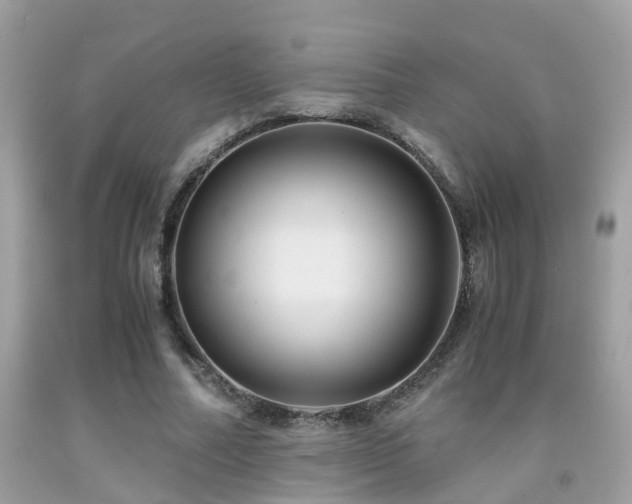 X0000091940682200709051523