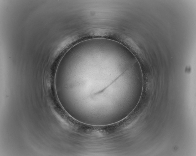 X0000091940683200709051523