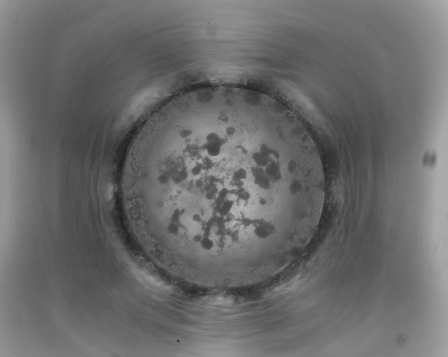 X0000091940687200709051523