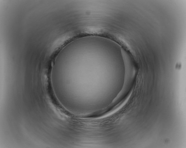 X0000091940688200709051523