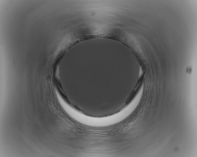 X0000091940689200709051523