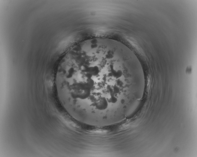 X0000091940691200709051523