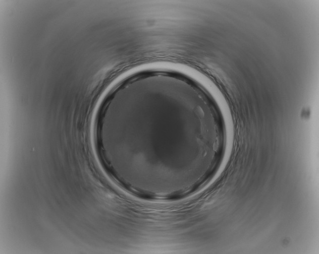 X0000091940693200709051523