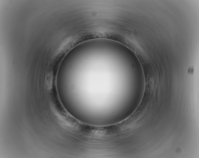 X0000091940694200709051523