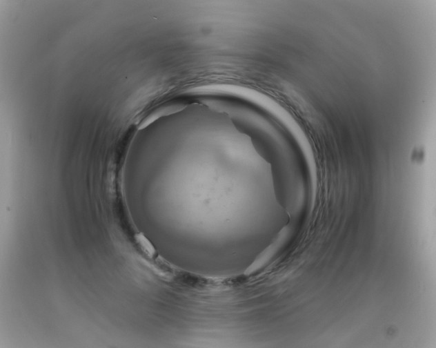 X0000091940696200709051523