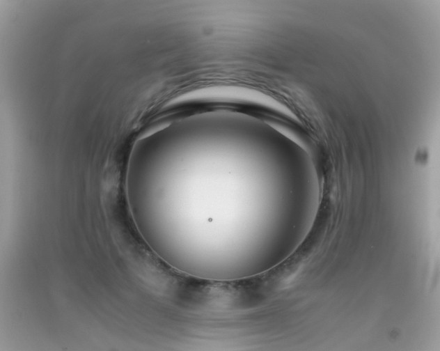 X0000091940697200709051523