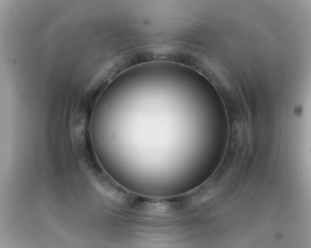 X0000091940698200709051523