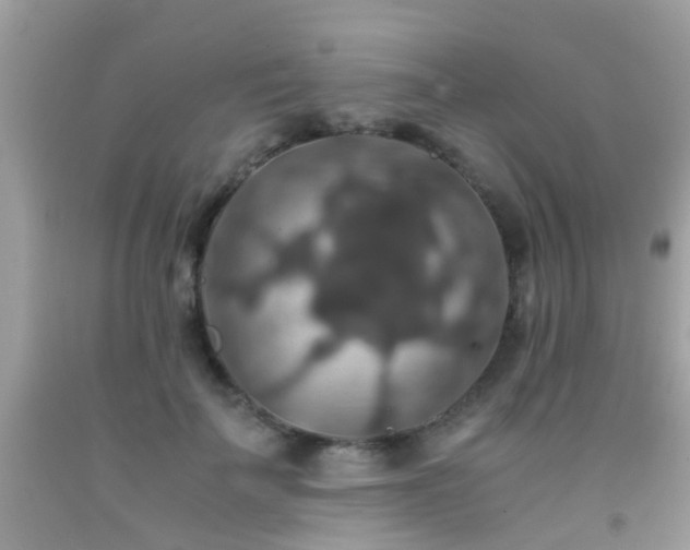 X0000091940699200709051523