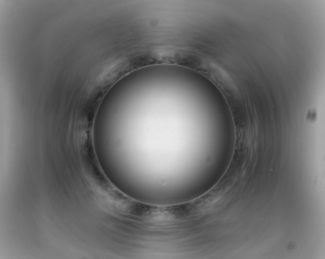 X0000091940702200709051523