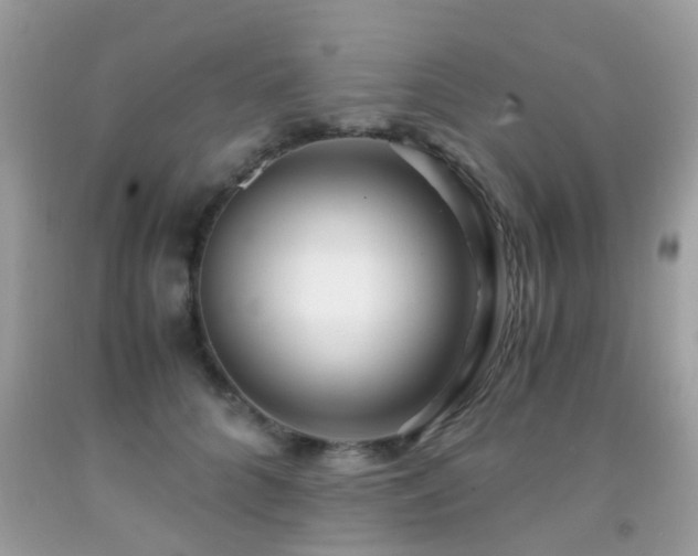 X0000091940704200709051523