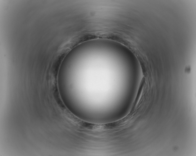 X0000091940705200709051523