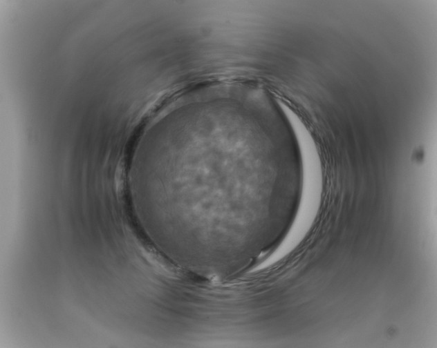 X0000091940708200709051523