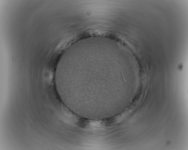 X0000091940709200709051523