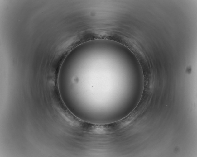 X0000091940710200709051523