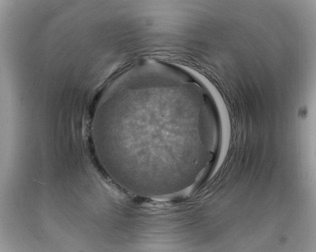 X0000091940712200709051523