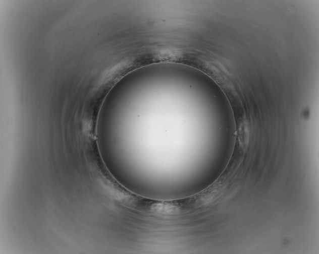 X0000091940714200709051523