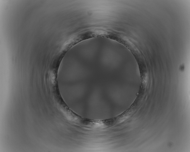 X0000091940715200709051523