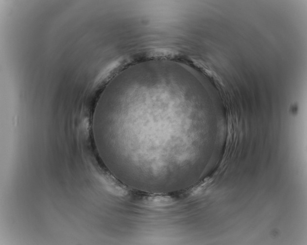 X0000091940716200709051523