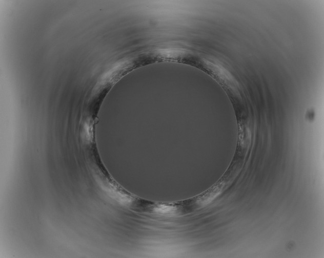 X0000091940718200709051522