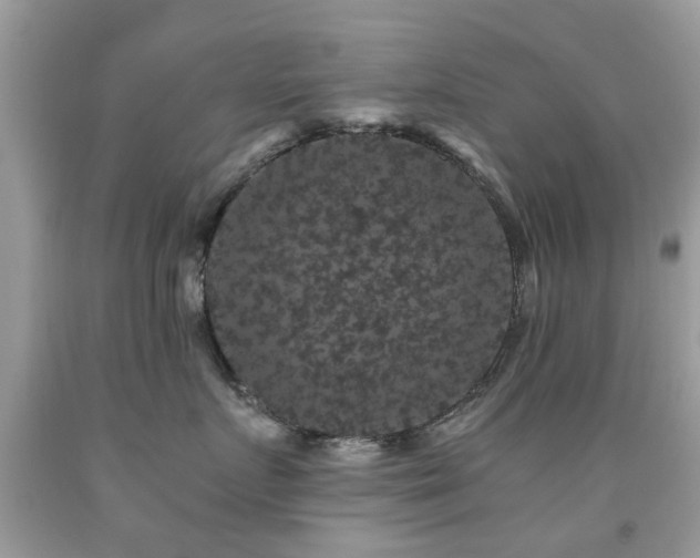 X0000091940719200709051522