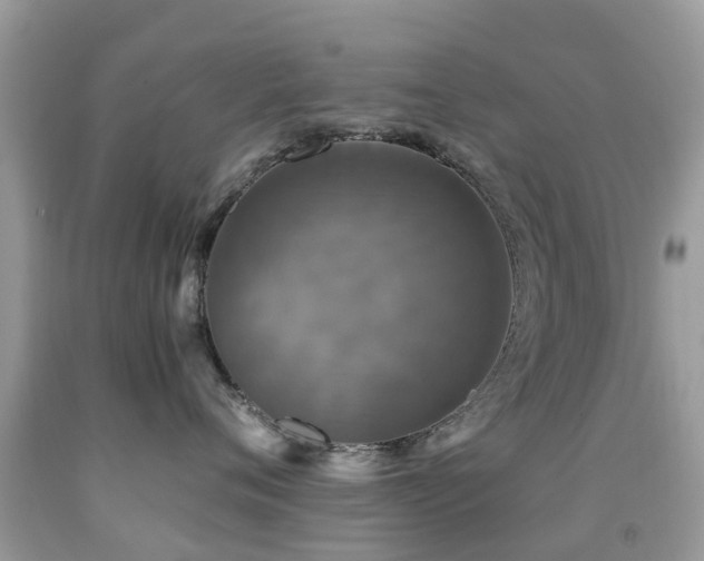 X0000091940720200709051522