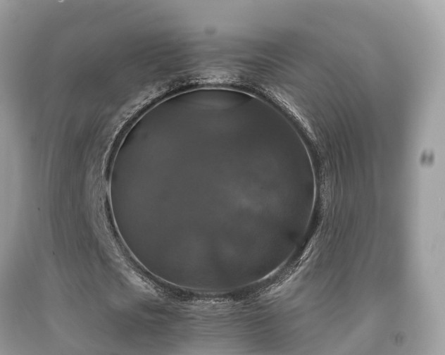 X0000091940721200709051522