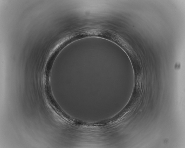 X0000091940722200709051522