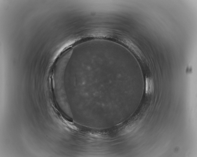 X0000091940723200709051522